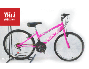 BICICLETA EN ACERO 24 MTB